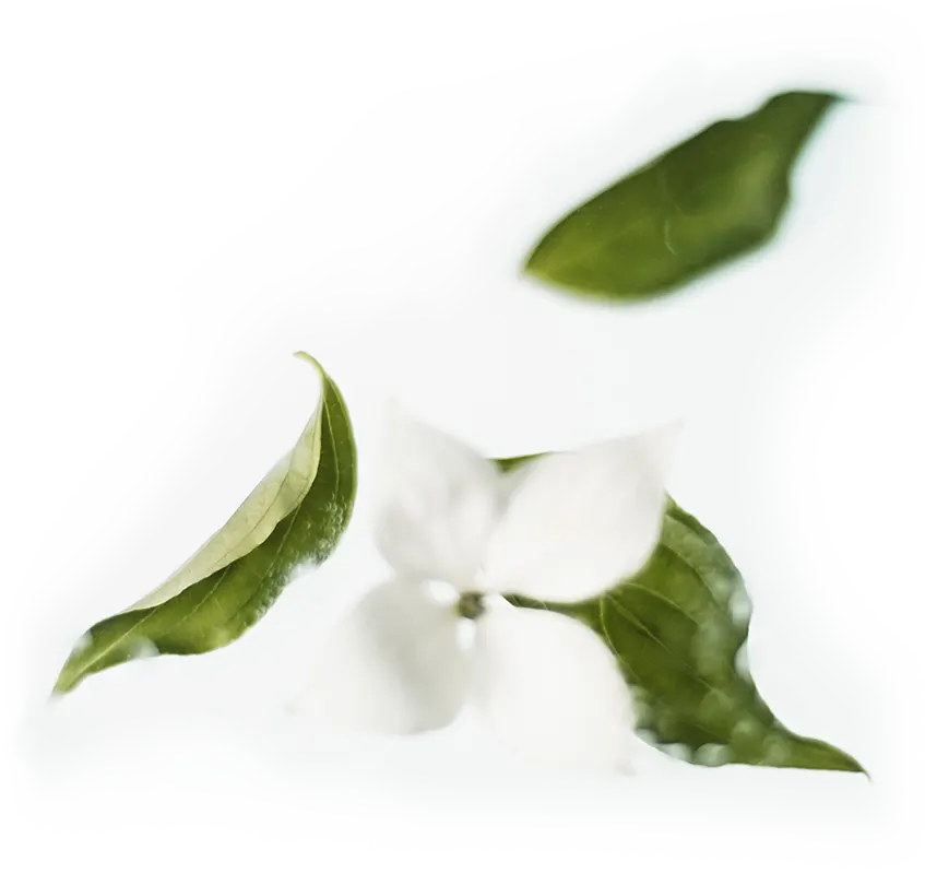 Sustentabilidade
